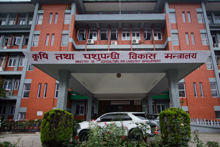 असोजको बाढी: क्षतिको विवरण संकलन गर्दै कृषि मन्त्रालय