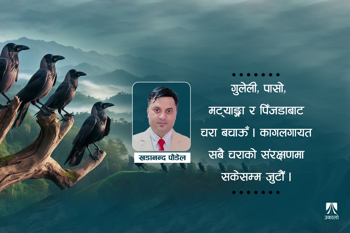 काग तिहार : प्रकृतिमा सबै जीव–वनस्पति उत्तिकै महत्त्वका