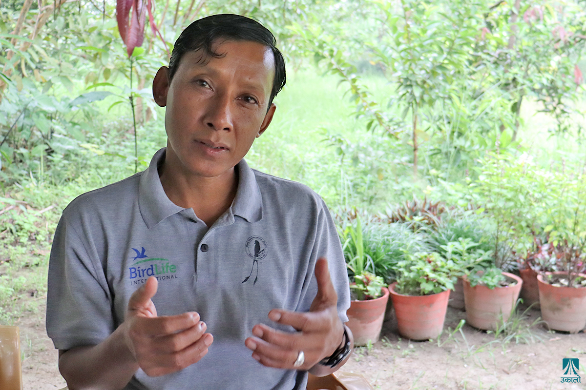 डीबी चौधरीको यात्राः चरा सिकारीदेखि संरक्षणसम्म