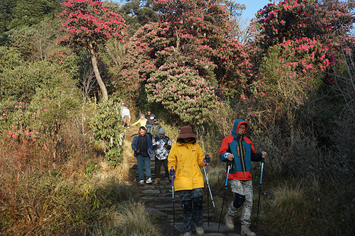 पर्यटकको रोजाइमा घोडेपानी, १ वर्षमा ३१ हजारले गरे भ्रमण