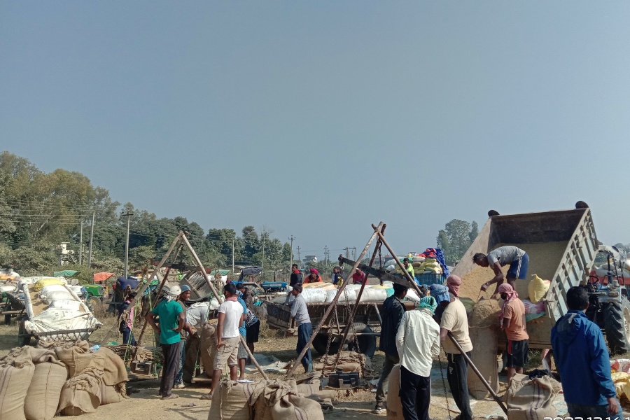 खाद्यलाई धान बेच्न रातभर खुला आकाशमुनि