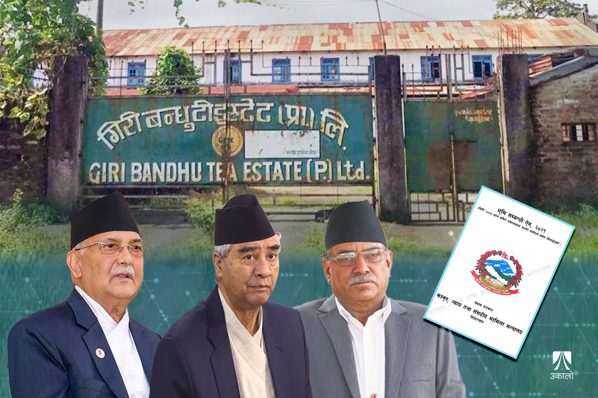 केपी ओलीलाई ‘झस्काउने’ गिरिबन्धु टी–इस्टेट प्रकरण: के भएको हो, को कसरी जोडिन्छन्?