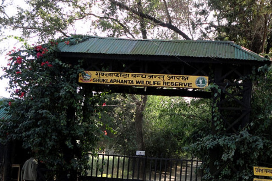 सेप्टीक ट्यांकमा परेर जंगली हात्तीको मृत्यु