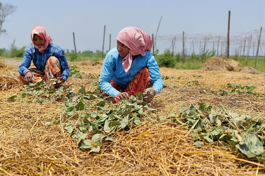मेचीपारि जग्गा नेपालको, खेतीपाती भारतीयको