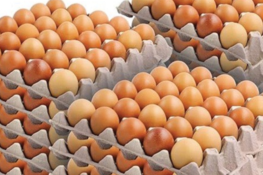 माग बढेसँगै बढ्यो अण्डाको मूल्य, उत्पादन भने घट्यो