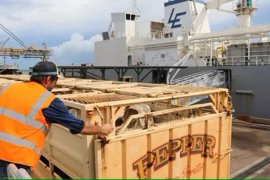 अस्ट्रेलियामाथि लगाइएको चौपाया निर्यात प्रतिबन्ध हट्यो 