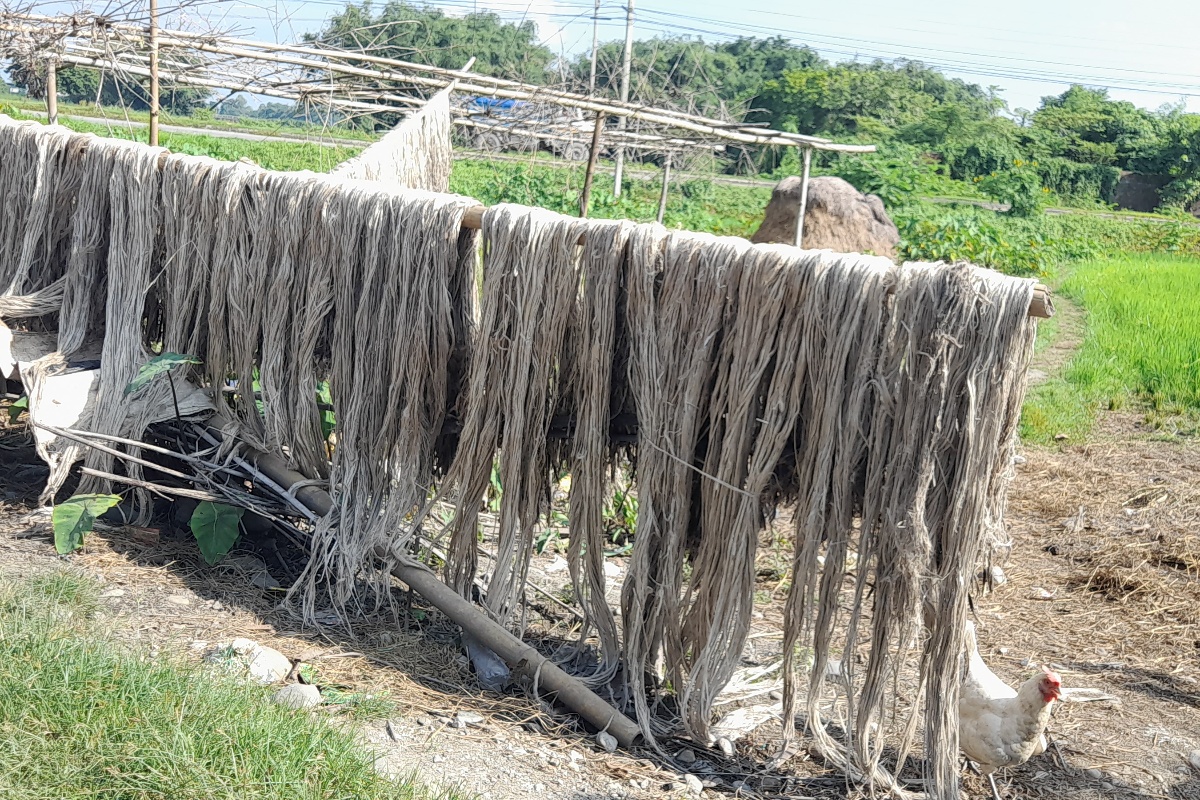 जुटले लगानीअनुसार मूल्य पाएन, किसानको आकर्षण घट्दै