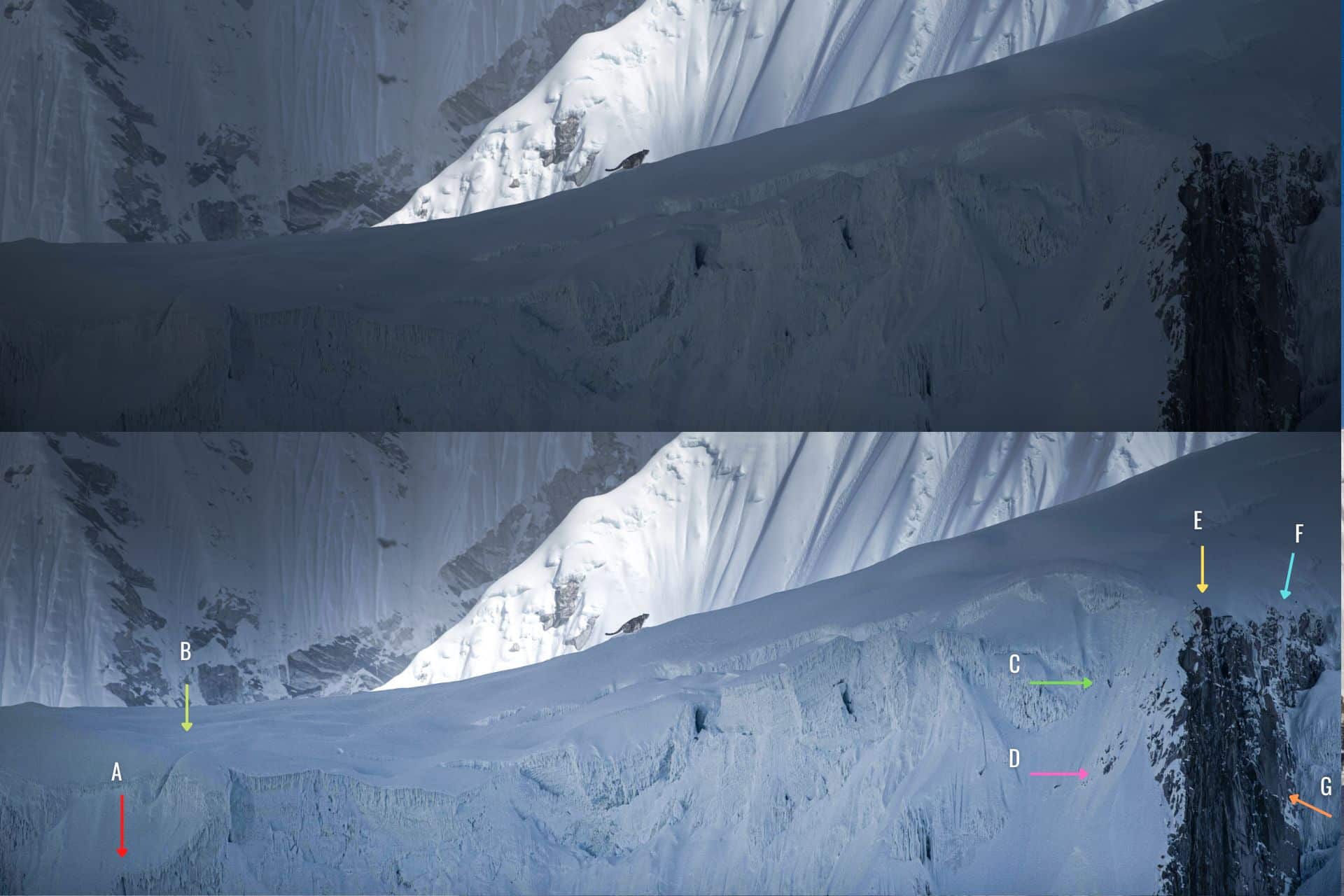 कितियाले खिचेका हिउँ चितुवाका तस्वीरहरू 'फेक' भएको दाबी