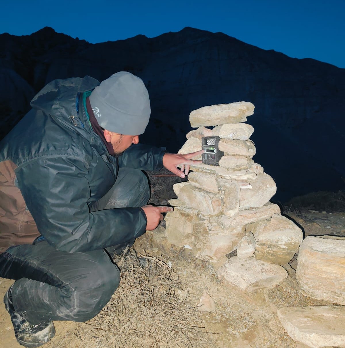मानवसँग द्वन्द्व बढेपछि क्यामरा ‘ट्यापिङ’बाट हिउँ चितुवाको अनुगमन गरिँदै