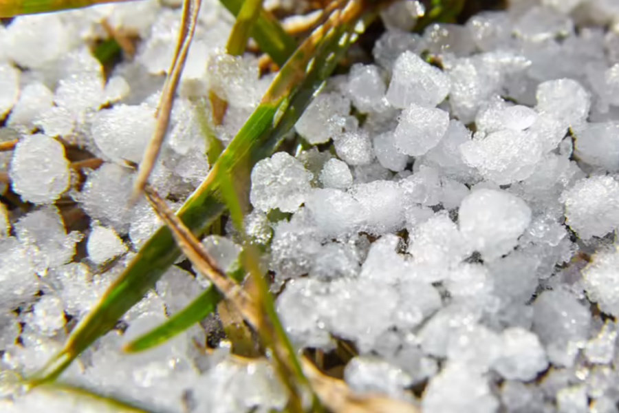 बेमौसमी वर्षासँगै परेको असिनाले बैतडीमा बालीनाली सखाप