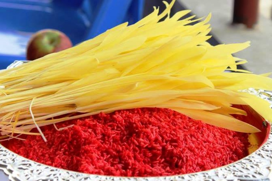 आज विजयादशमी: मान्यजनबाट टीका र जमरा लगाइँदै