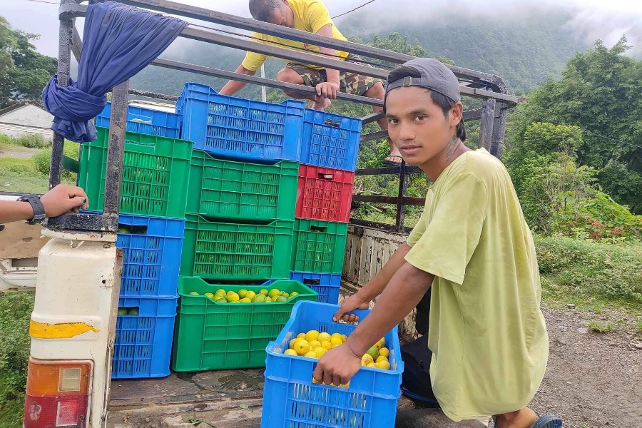 तनहुँमा उत्पादित कागतीखेतीले पाएन बजार 