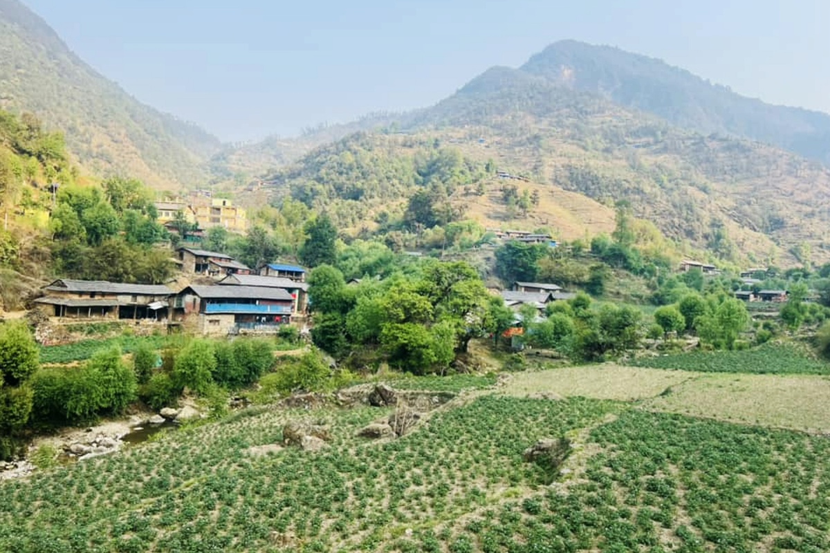 भाँगो र आलुसँग चामल साटेर गुजारा गर्दै बागलुङ रमुवाका बासिन्दा