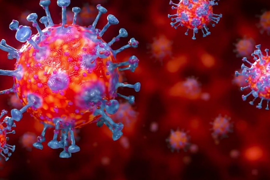 कोरोना संक्रमणबाट २४ घण्टामा २ जनाको मृत्यु