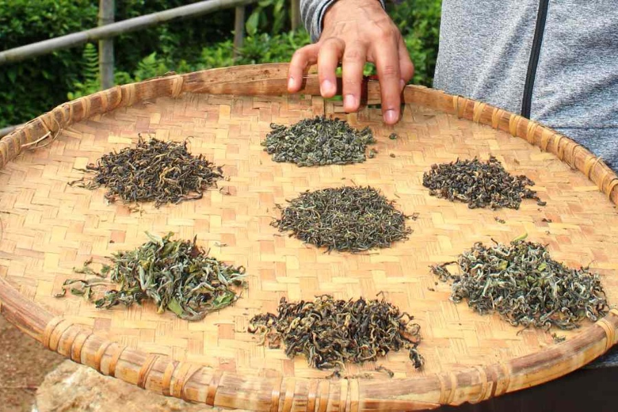 अन्तर्राष्ट्रिय बजारमा तयारी चियाको माग बढी, उत्पादनमा कमी