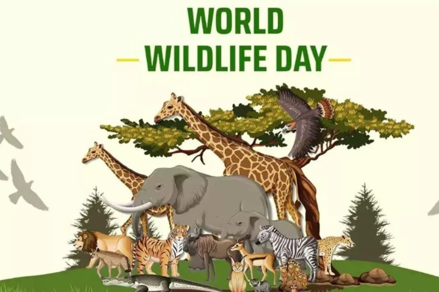 वन्यजन्तु संरक्षणमा जोड दिँदै संसारभर आज विश्व वन्यजन्तु दिवस मनाइँदै