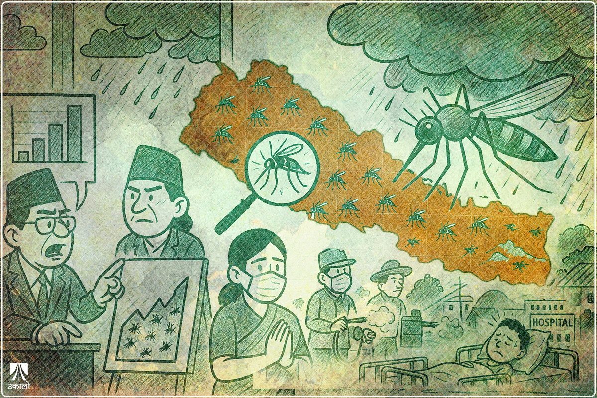 घटे डेंगी संक्रमित, के जोखिम कम भएको हो?