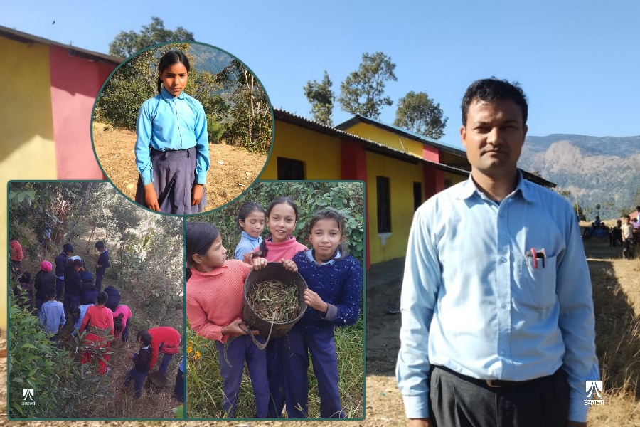 जब ११ वर्षीया आशाले कोदो काट्न हेडसरसँग ४ दिन बिदा मागिन्... 