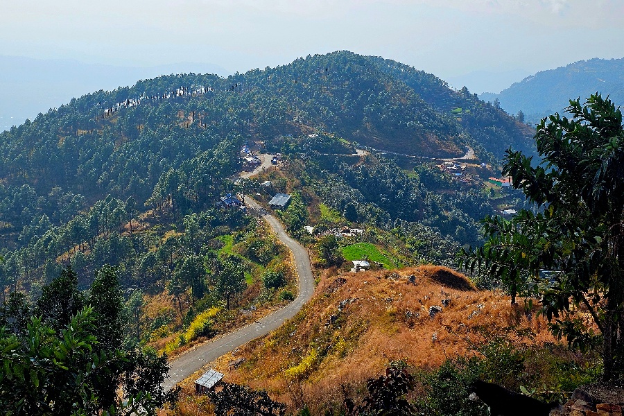 कर्णालीका ३० प्रतिशत परिवार मात्रै कृषिमा आत्मनिर्भर