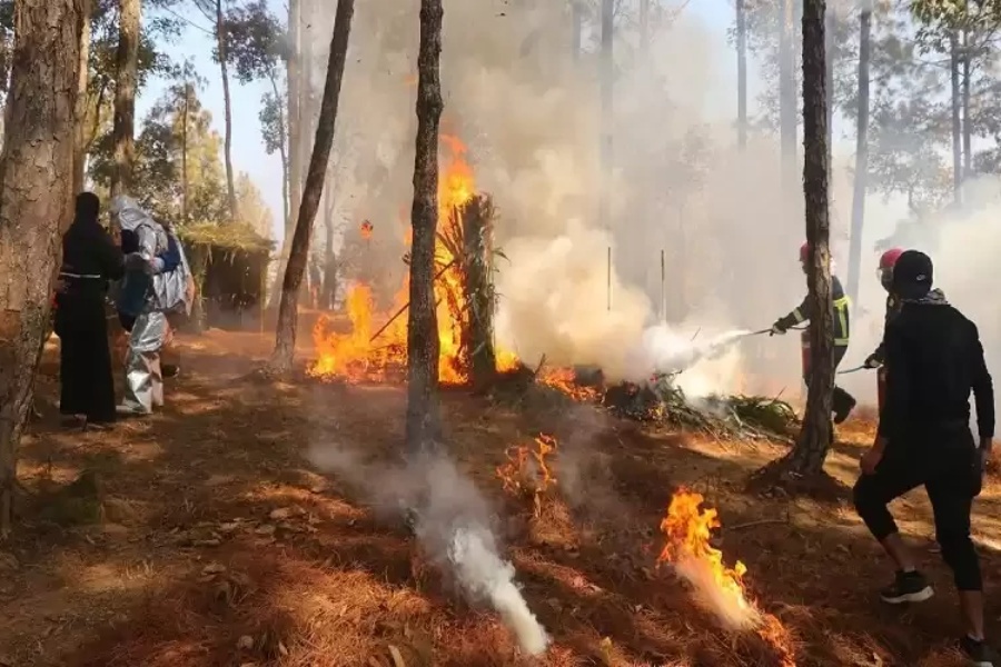 चितवन राष्ट्रिय निकुञ्जले लगायो ५०० हेक्टर क्षेत्रफलमा नियन्त्रित डढेलो