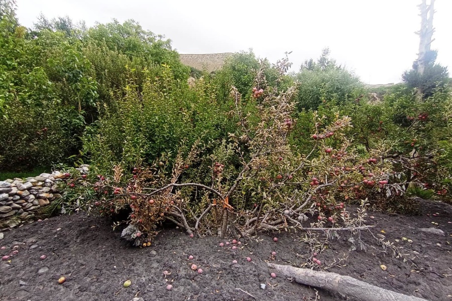 कागबेनी बाढी: करिब १ अर्ब रुपैयाँ बराबरको क्षति