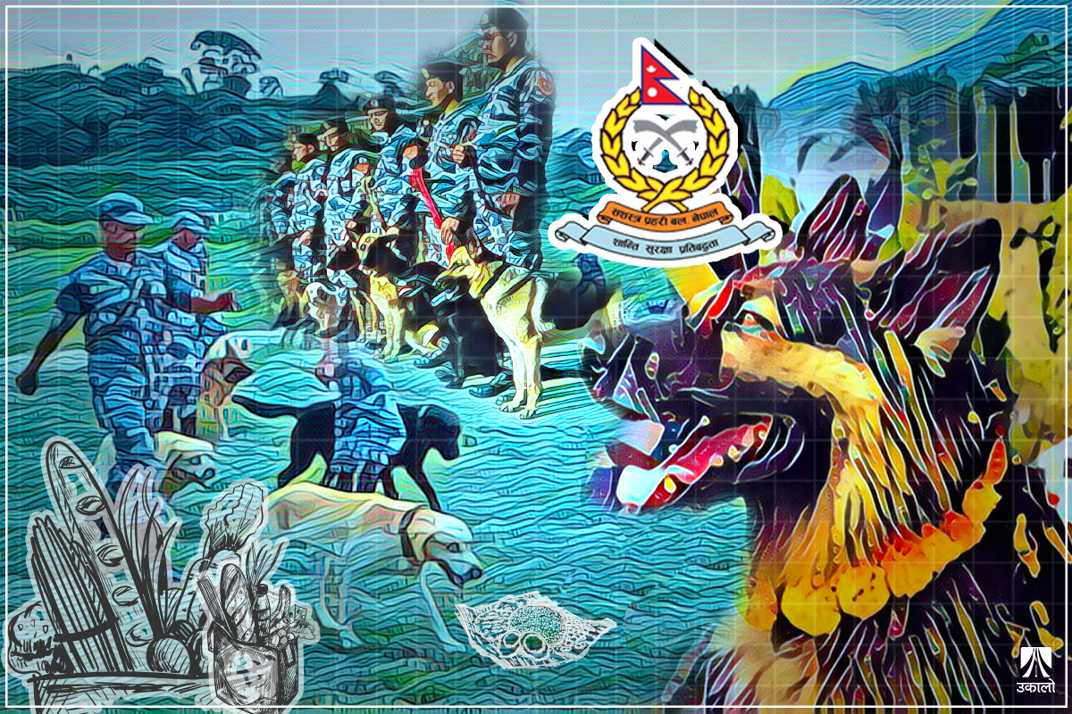 सशस्त्र प्रहरीको रासन भत्ता: कुकुरभन्दा पनि थोरै, २०३ रुपैयाँले पुर्‍याउनुपर्छ दुईछाक खाना र नास्ता