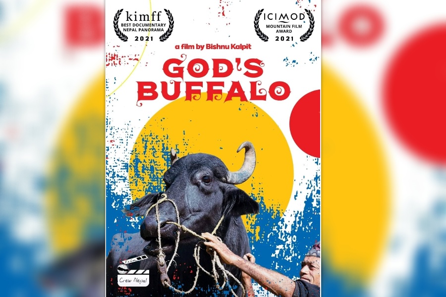  ‘गड्स बफेलो’ले पायो स्पेशल जुरी मेन्सन अवार्ड