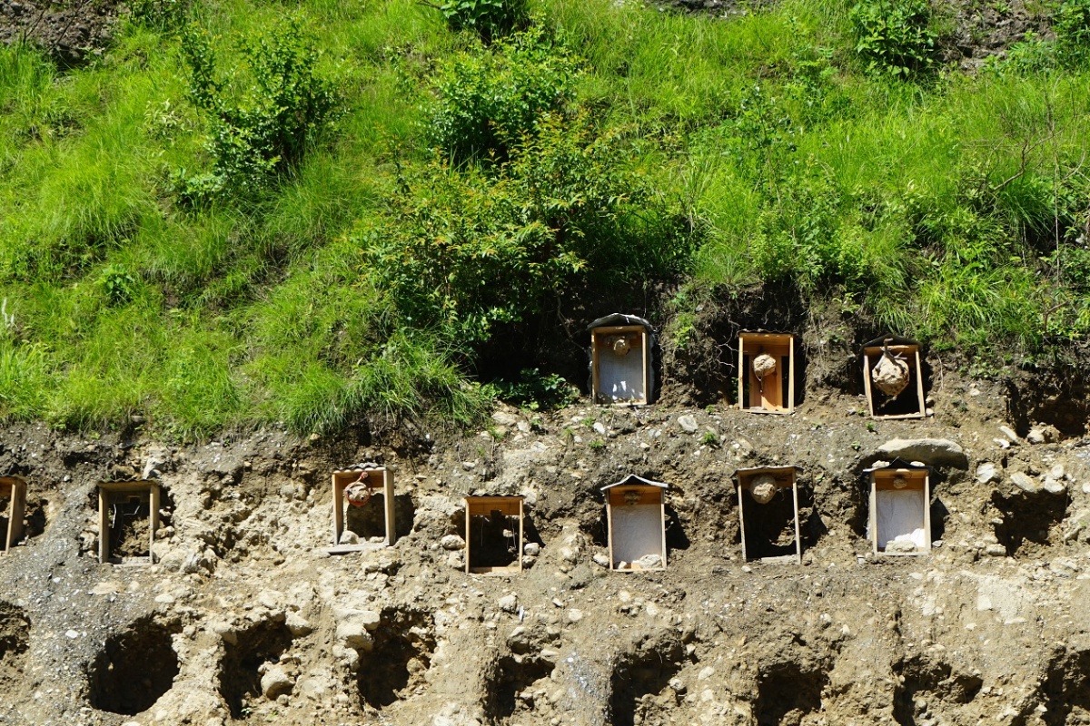 म्याग्दीमा व्यावसायिक अरिंगालपालन