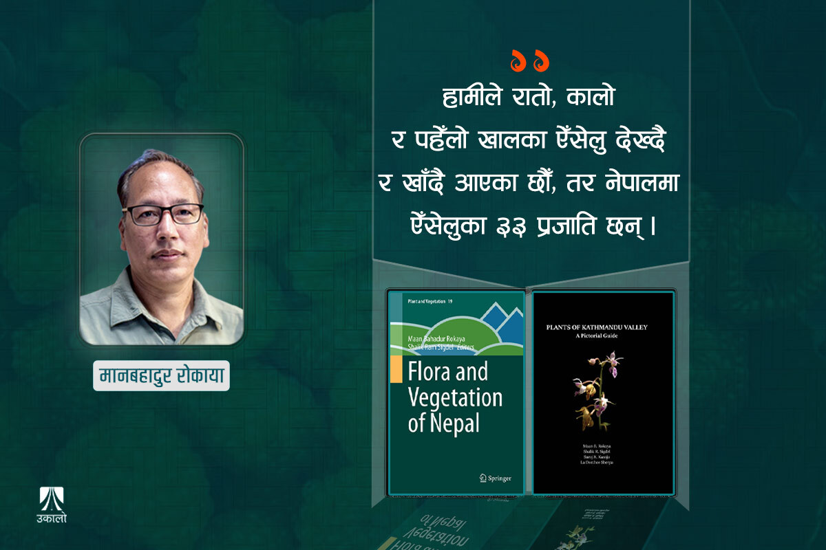 नेपाली वनस्पतिबारे दुई किताब : रचनाका कथाव्यथा