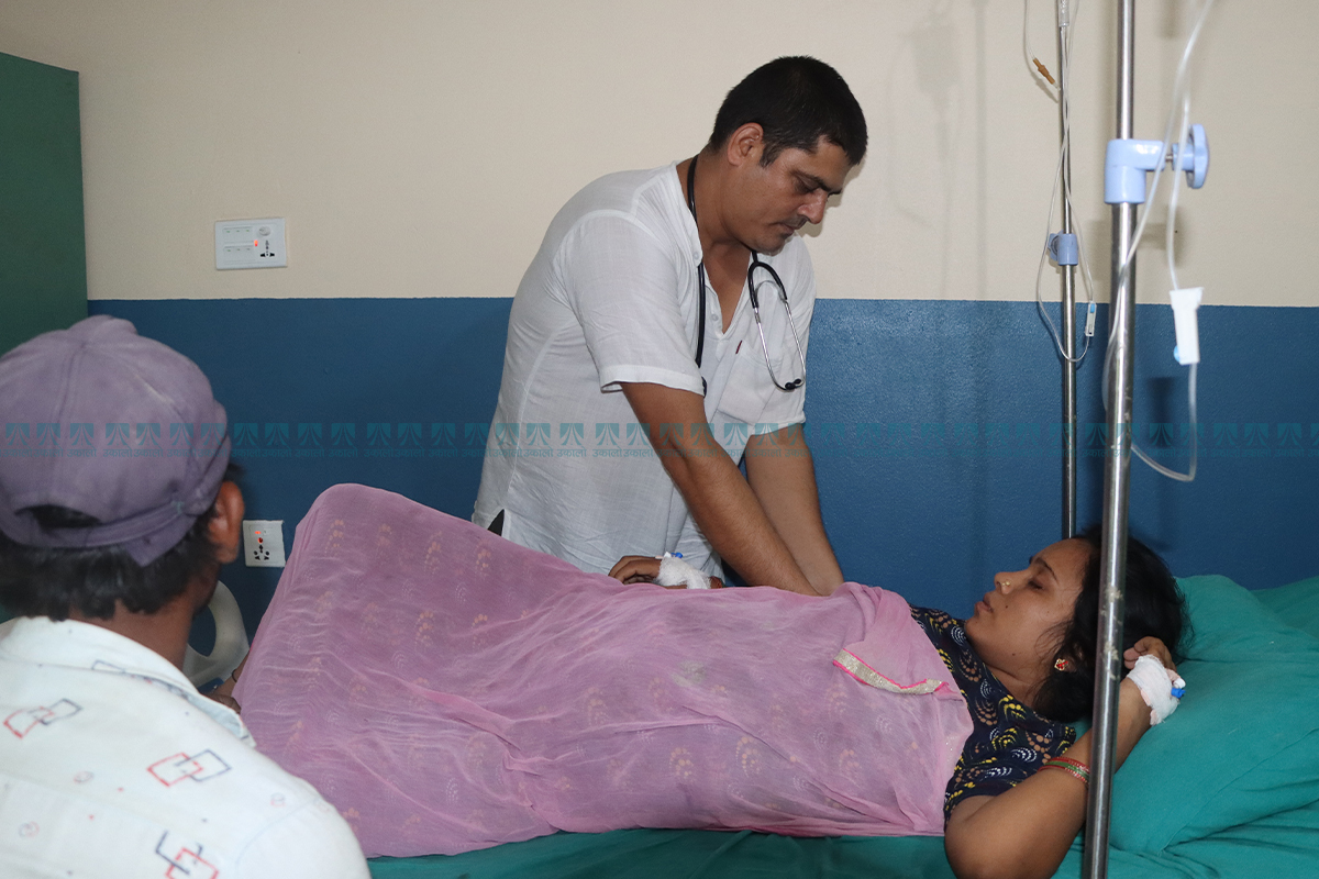 सर्पले डसेका ८० प्रतिशत बिरामीले अस्पताल नपुग्दै ज्यान गुमाउँछन्