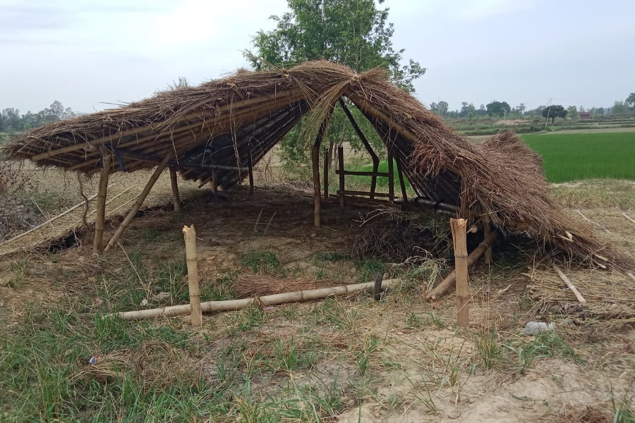 धनुषामा ८३७ हेक्टर वनको जमिन अतिक्रमण