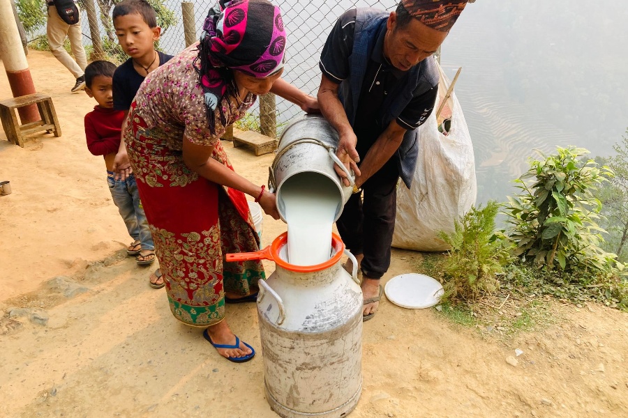 सहकारीमार्फत दूधको बजारीकरण भएपछि किसान उत्साहित