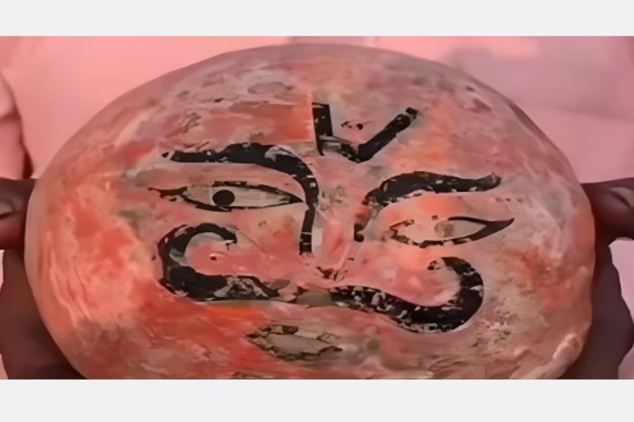 कुलदेवता मानेर पुज्दै आएको ‘ढुंगा’ जब डाइनोसरको अण्डा भएको थाहा भयो