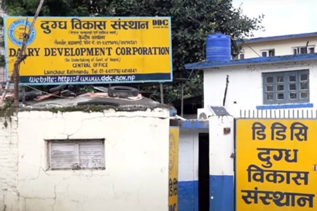 दुग्ध विकास संस्थानले तिर्‍यो एकैचोटि ३१ वर्षको सम्पत्ति कर