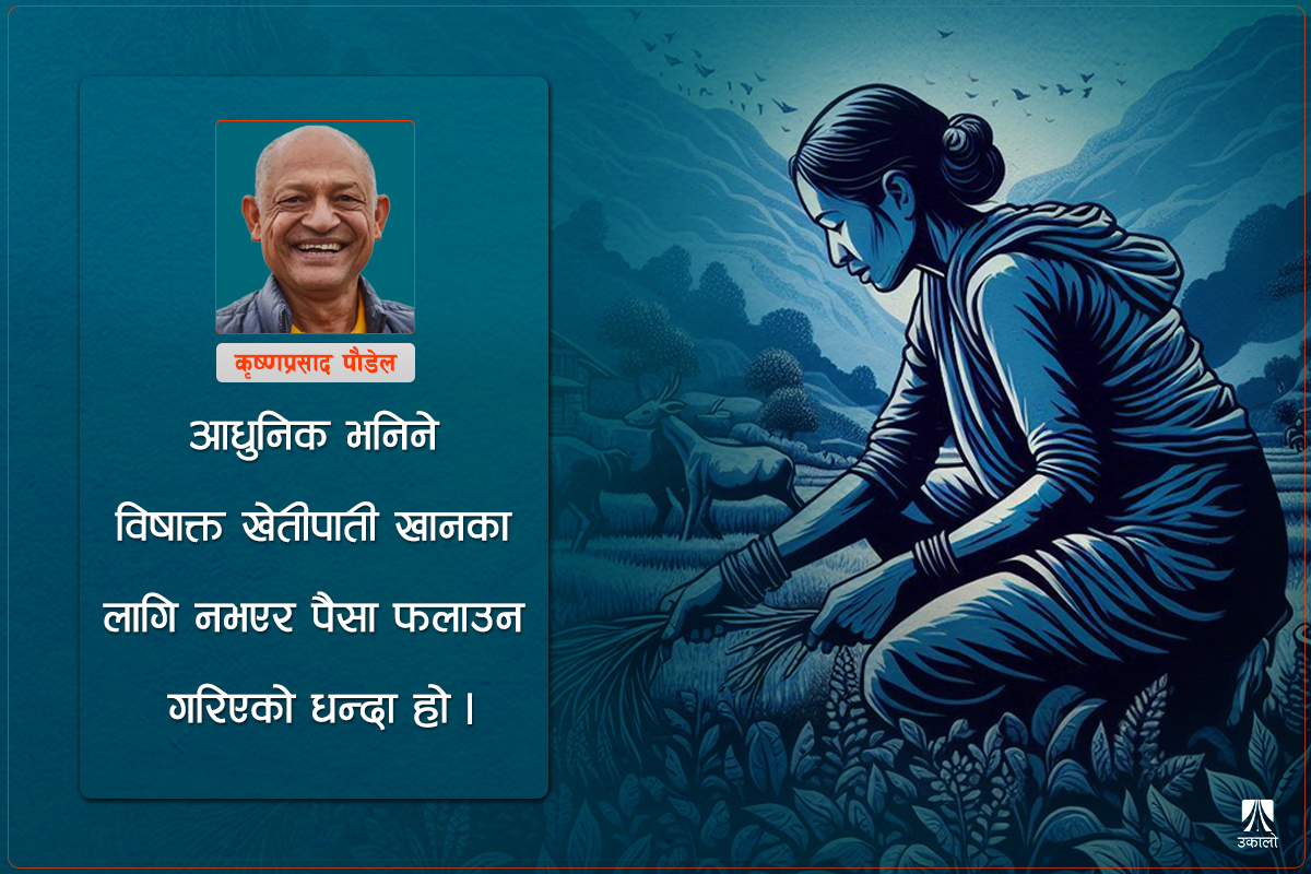 खाना र खेतीपाती: बुझेर पनि बुझ पचाउनेका नाममा