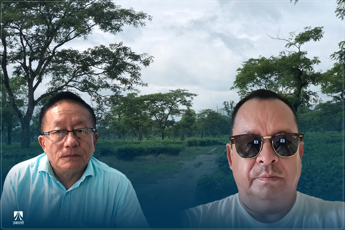 यसरी भिडियो बनाएर बेचिएको थियो गिरीबन्धु टी-इस्टेटको जग्गा