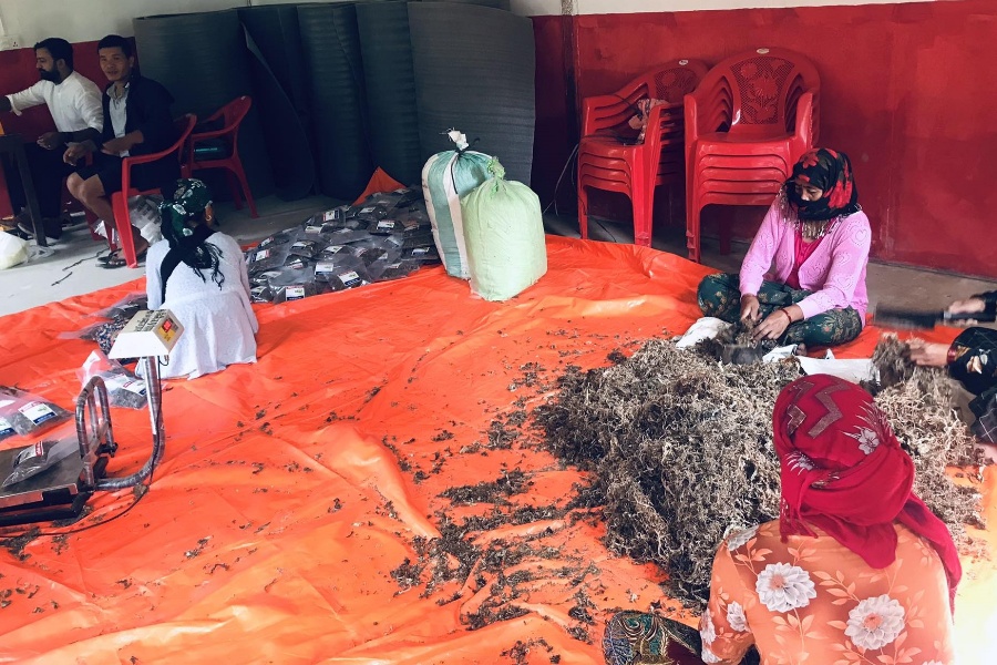 आम्दानीको स्रोत बन्दै बाँकोको गुन्द्रुक