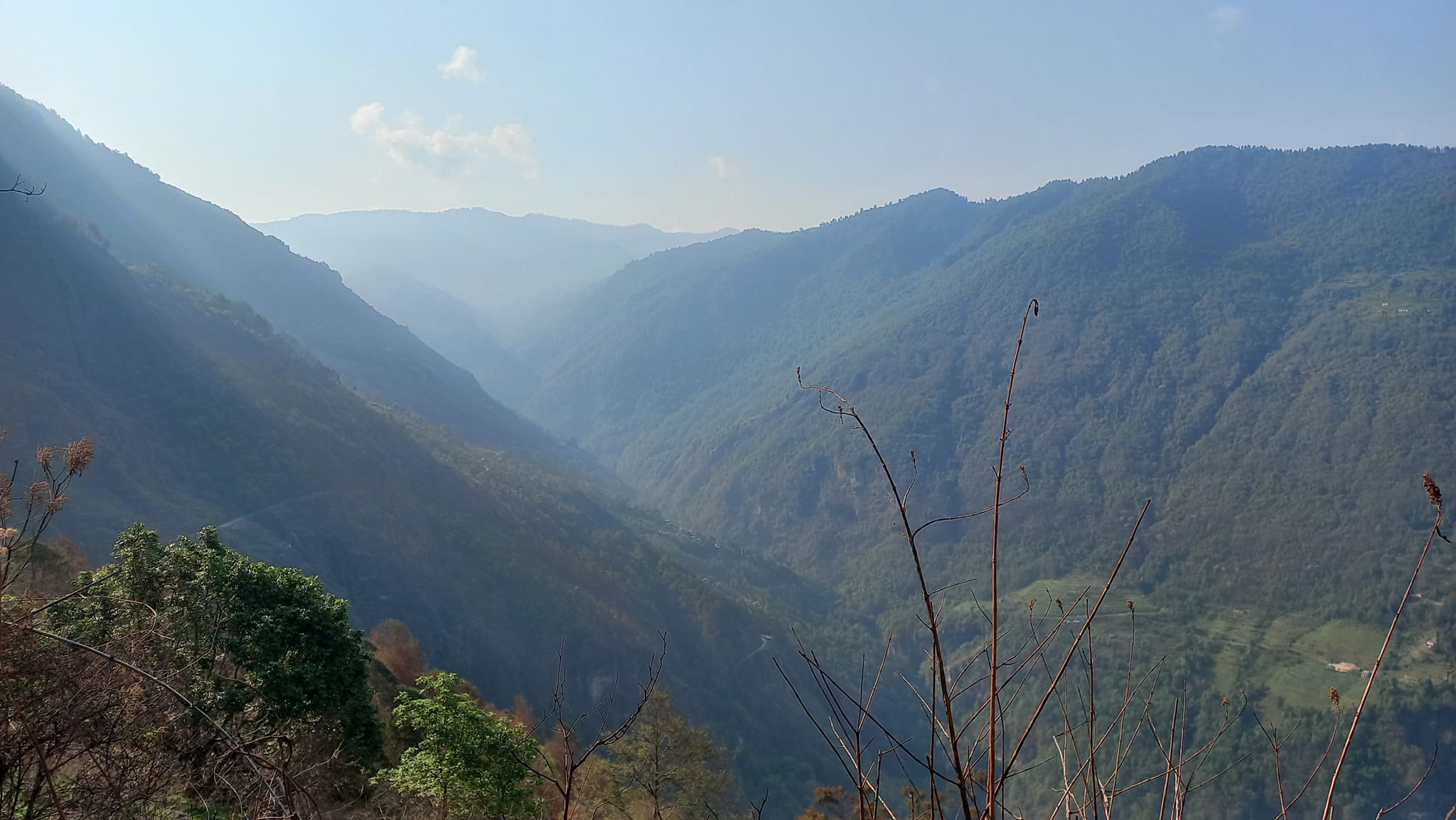 डढेलोको असर: जंगलमा देखिन छाडे चराचुरुंगी र जनवार