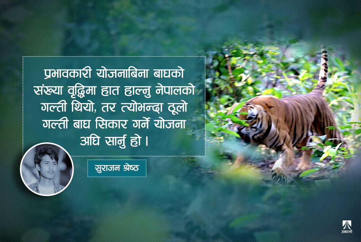 बाघ मारेर संरक्षण सम्भव छ?