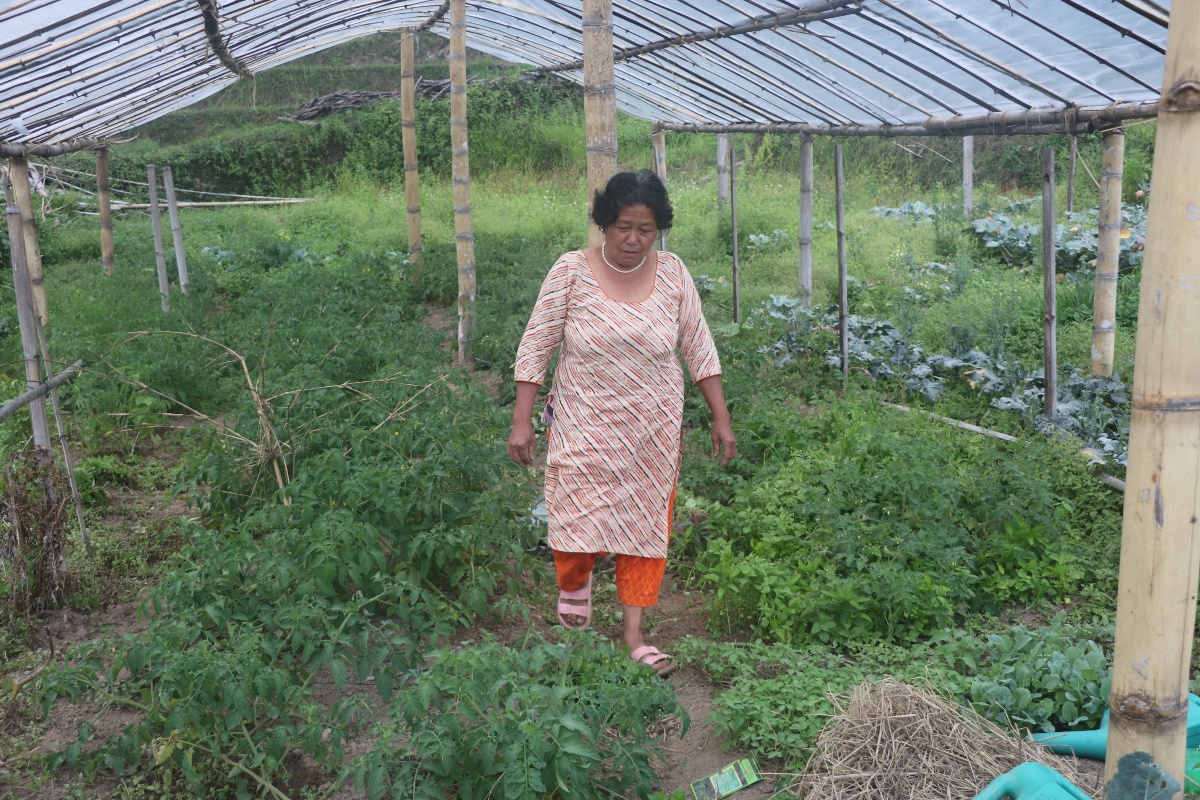मायादेवीको लोभलाग्दो जैविक तरकारी खेती