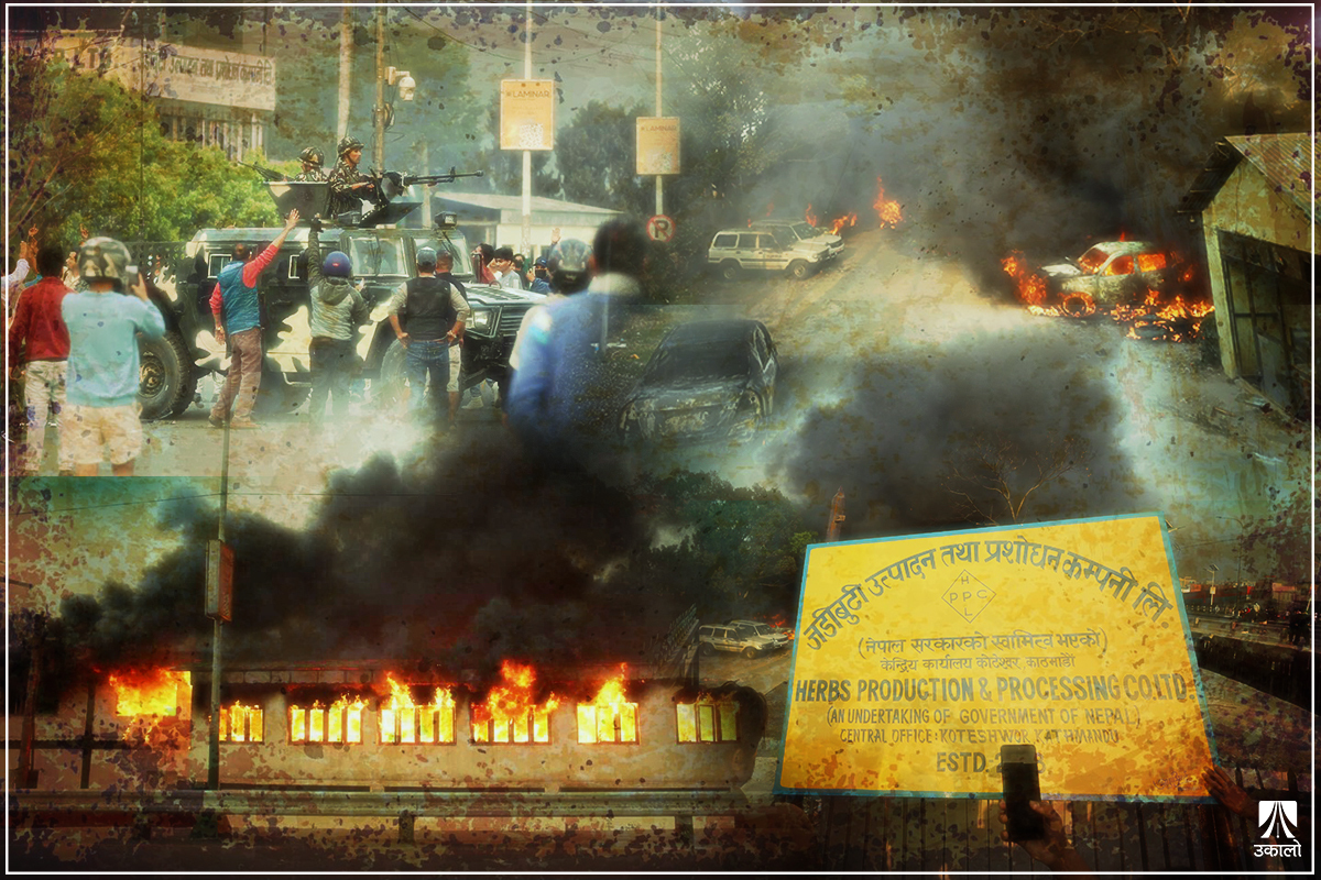 जडीबुटी कम्पनीसँगै खरानी बनेको ४४ वर्षको इतिहास