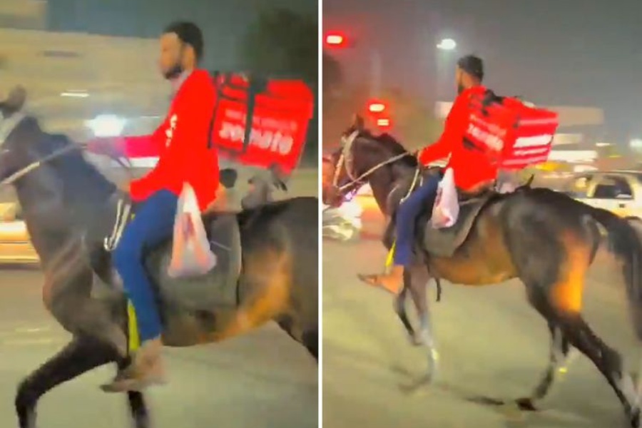 पेट्रोल नपाएपछि घोडामा चढेर ‘फुड डेलिभरी’