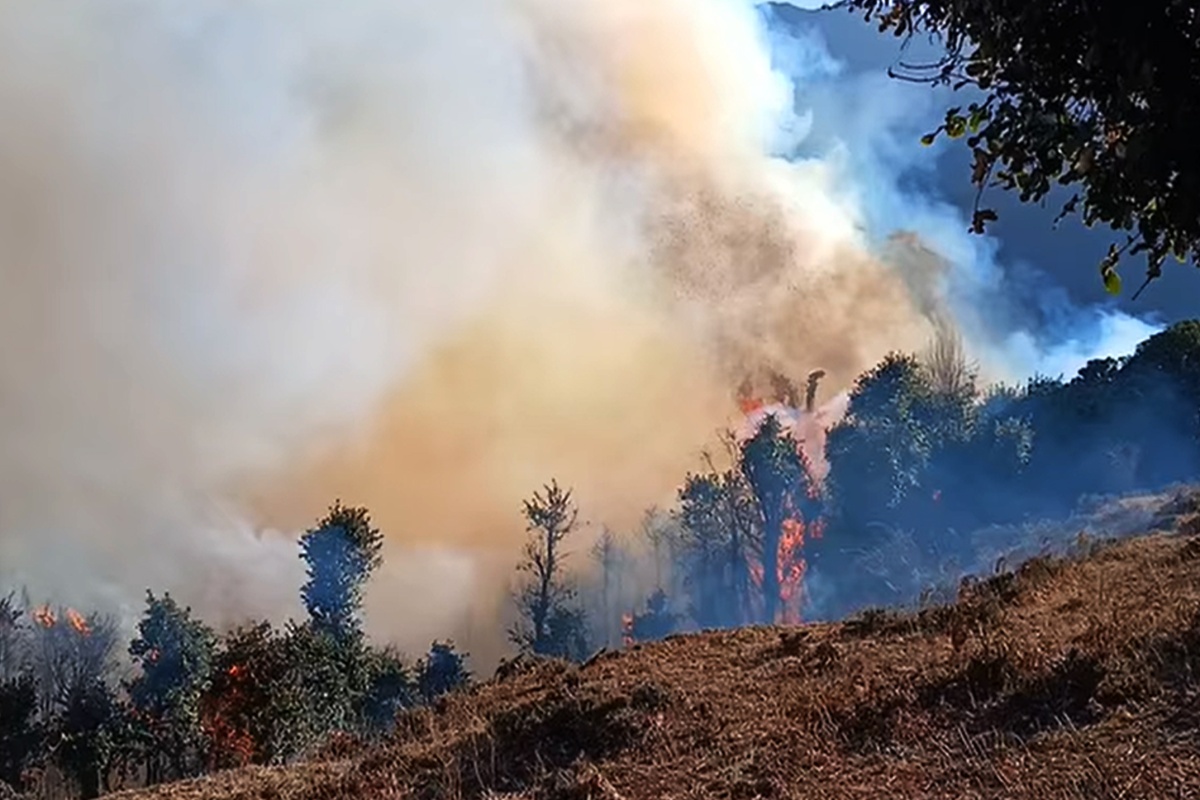 गण्डकीमा बढ्दै डढेलोको जोखिम, सचेतना आवश्यक