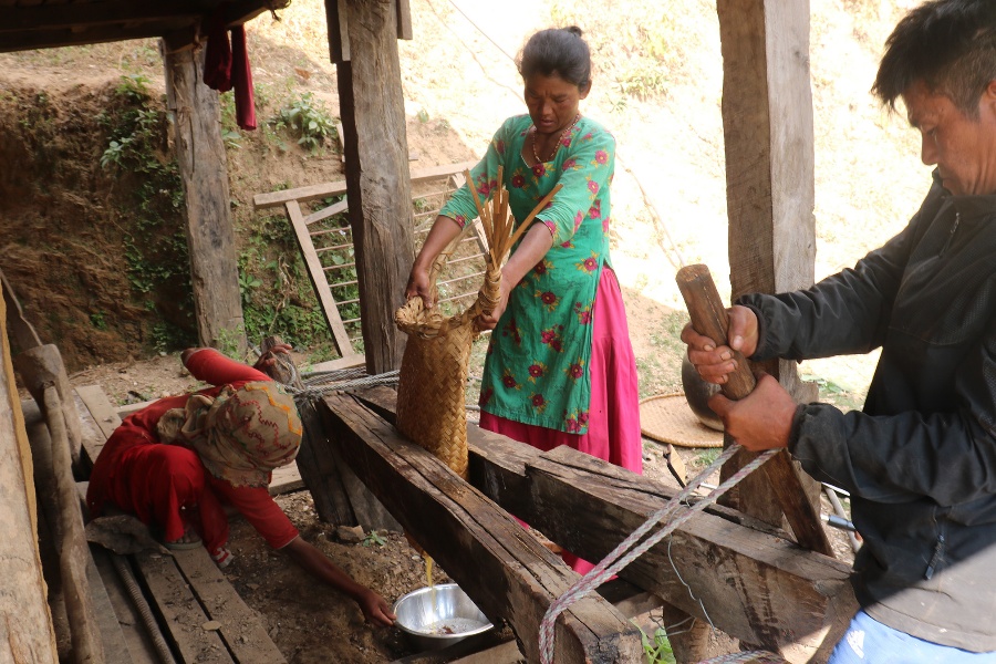 चिउरीबाट घिउ उत्पादन गर्दै चेपाङ
