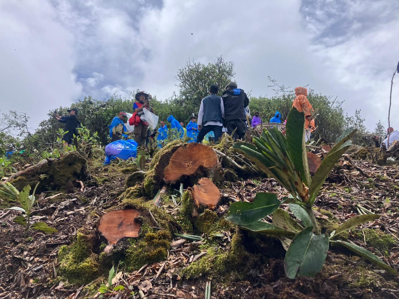 मुन्धुमी विधिअनुसार मुक्कुमलुङमा वृक्षरोपण