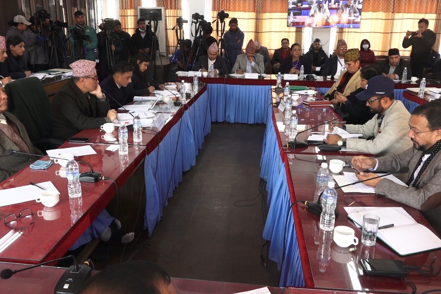 टेरामक्स खरिद प्रक्रियाको अनुसन्धान चाँडै सक्न अख्तियारलाई संसदीय समितिको निर्देशन