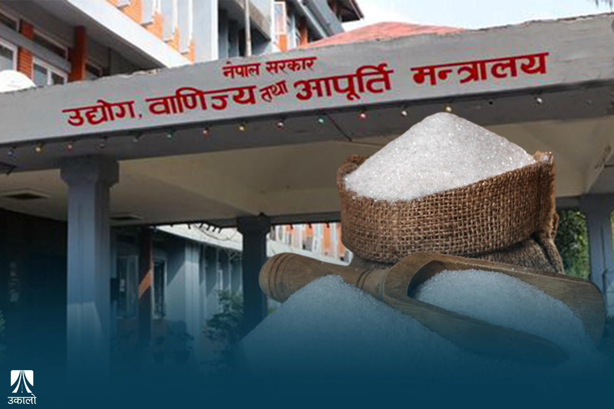 खल्लो बित्यो दशैँ, तिहारमा उपभोक्ताले पाउलान् चिनी?