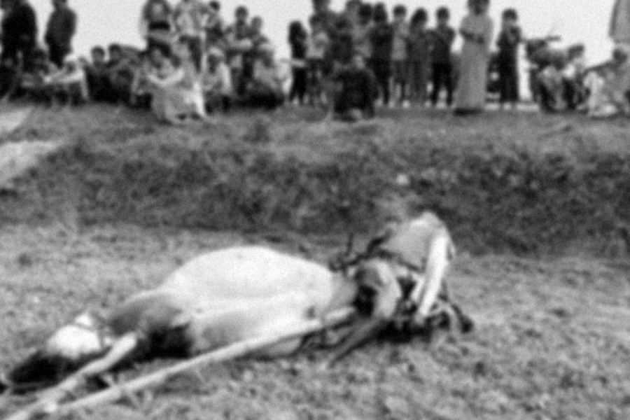 रौतहटमा बिजुलीको तार चुँडिएर करेन्ट लाग्दा एक जनाको मृत्यु