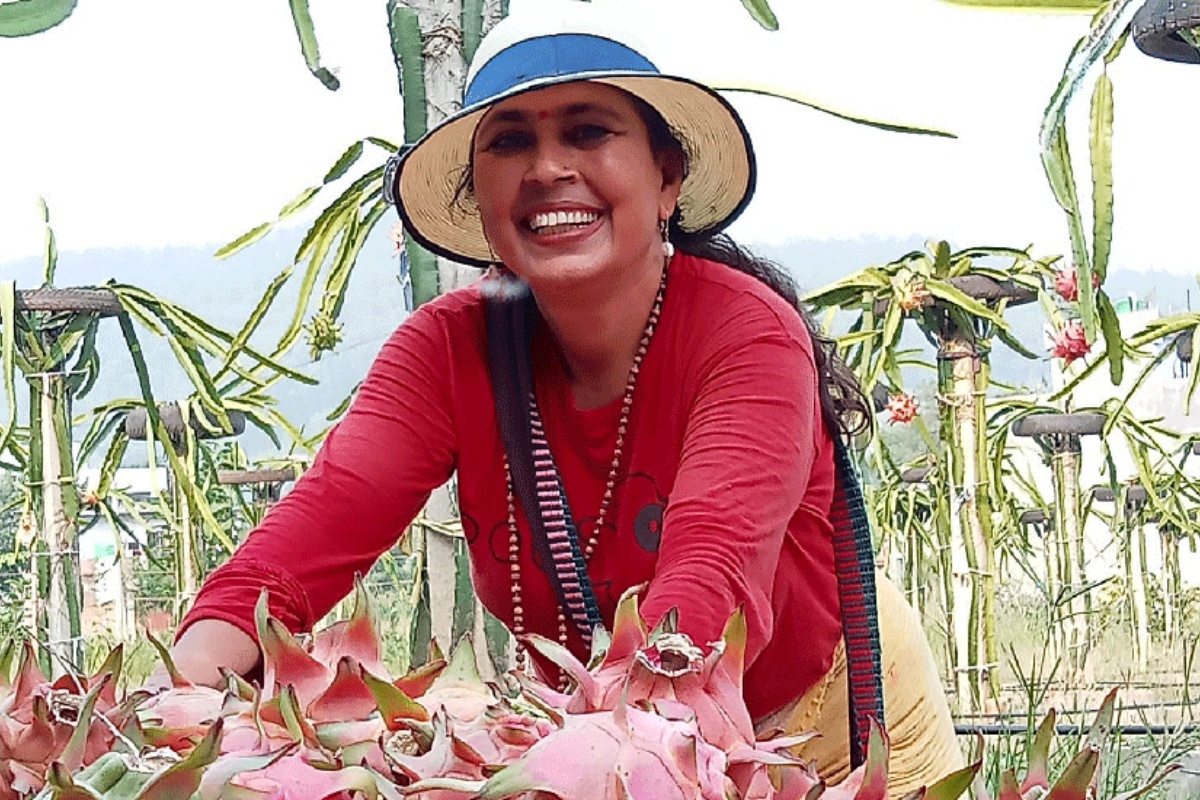 ड्रागन फ्रुटबाट वर्षमा १६ लाख आम्दानी