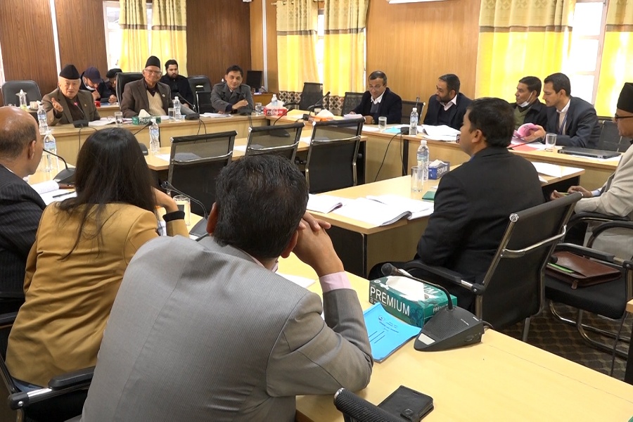 संसदीय समितिको नाम र कार्यक्षेत्र पुनर्संरचना गर्नुपर्ने सांसदहरूको प्रस्ताव